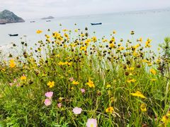 -枸杞岛