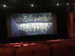 -萧山德纳MAX影城