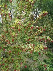 -大望京儿童游乐场