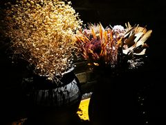 -都氏家DUSJOY(翡翠城店)