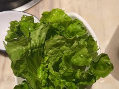 -同仁四季椰子鸡(福田东园总店)