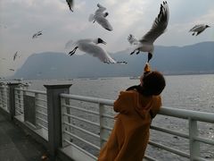 -滇池海埂公园