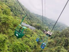 -野象谷景区