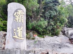 -海南霸王岭国家森林公园