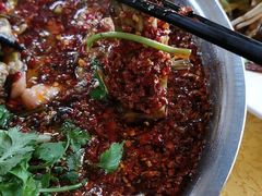 -胖大姐黄辣丁鱼庄(新津店)