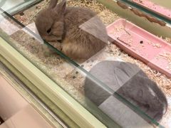 -龙猫仔乐园(惠福东路店)