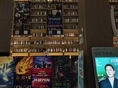 -深影国际影城(学院南路店CGS中国巨幕店)
