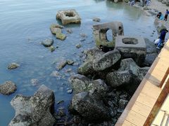 -东疆建设开发纪念公园