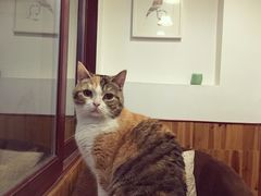 -隅cafe(傅厚岗店)