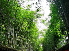 -成都武侯祠博物馆