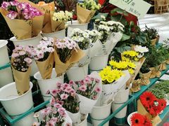-BoBloom花店(晶耀前滩店)
