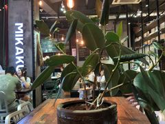 大堂-MIKAKU(万达广场上海宝山店)