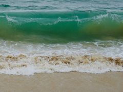 -玫瑰海岸文化旅游度假区