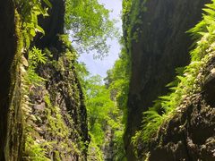 -野三坡百里峡景区