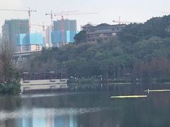 -重庆彩云湖湿地公园