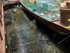 -筱爷叔·上海传统手工菜(新桥店)
