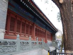 -法兴寺