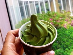 -雪绿茶博物馆