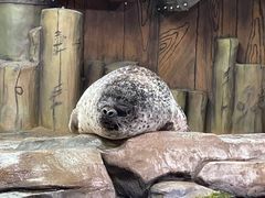 -杭州长乔极地海洋公园