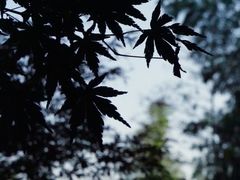 -径山寺