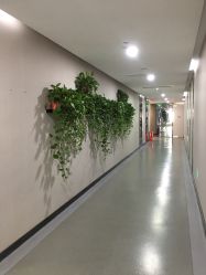 -北京炫美医疗美容