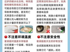 -爱侣宠医·鹦鹉专科·小型哺乳类·异宠专科(灵石路店)