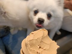 -喜茶(南京仙林金鹰店)