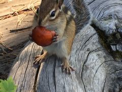 -北极村旅游风景区