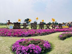-嘉北郊野公园