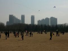 android_upload_pic-泰丰公园