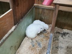 -上海昆虫博物馆