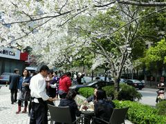android_upload_pic-玛格萝妮比萨屋(四平店)