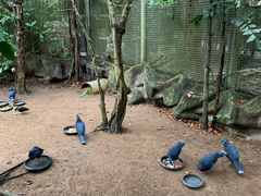 -清迈夜间动物园