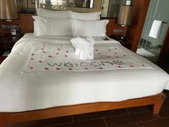 -三亚湾海居铂尔曼度假酒店