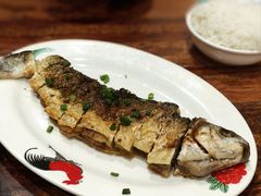 -正德顺順德雙皮奶(中信店)
