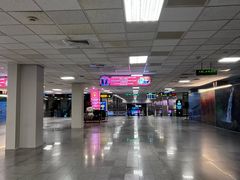 -班达拉奈克国际机场