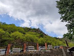 -Local泰莲庭(虹鳟鱼店)