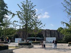 -合肥野生动物园