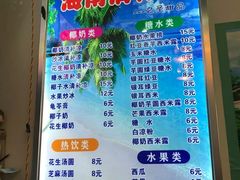 -老海南椰奶清补凉(文化宫老店)