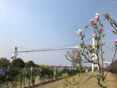 -武汉紫薇都市田园