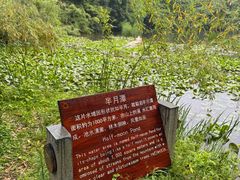 -天目湖山水园