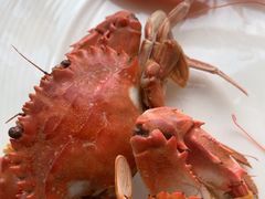 -视界美食自助餐厅·石家庄希尔顿酒店