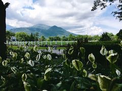 -瑞穗牧场