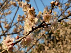 -桃花涧