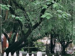 -贵州森林野生动物园