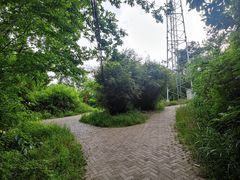 -青龙山国家森林公园