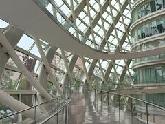 -凤凰中心