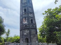 -上海佘山国家森林公园天马山园