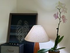 -本無咖啡·BeanWood Coffee