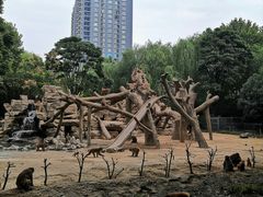 -郑州市动物园